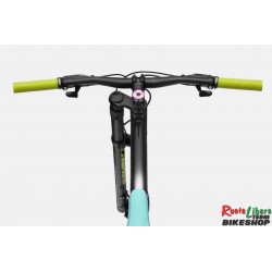 CANNONDALE  Mad Boy Palace Limited Edition